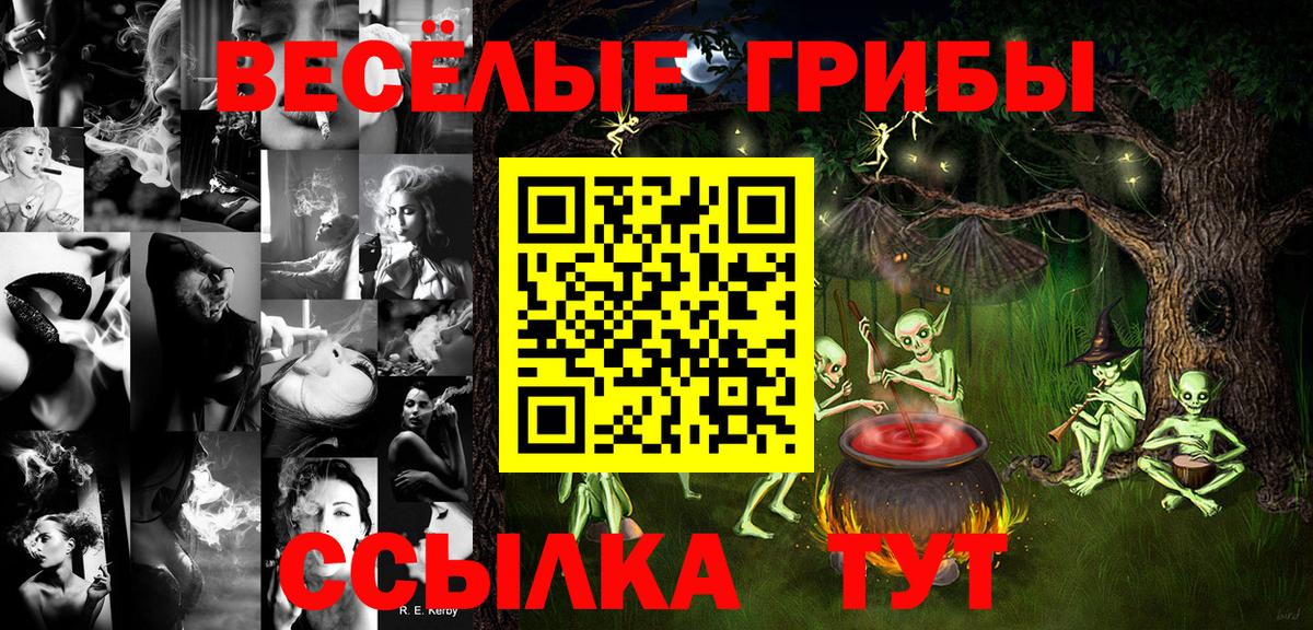 Псилоцибиновые грибы Psilocybe Касимов