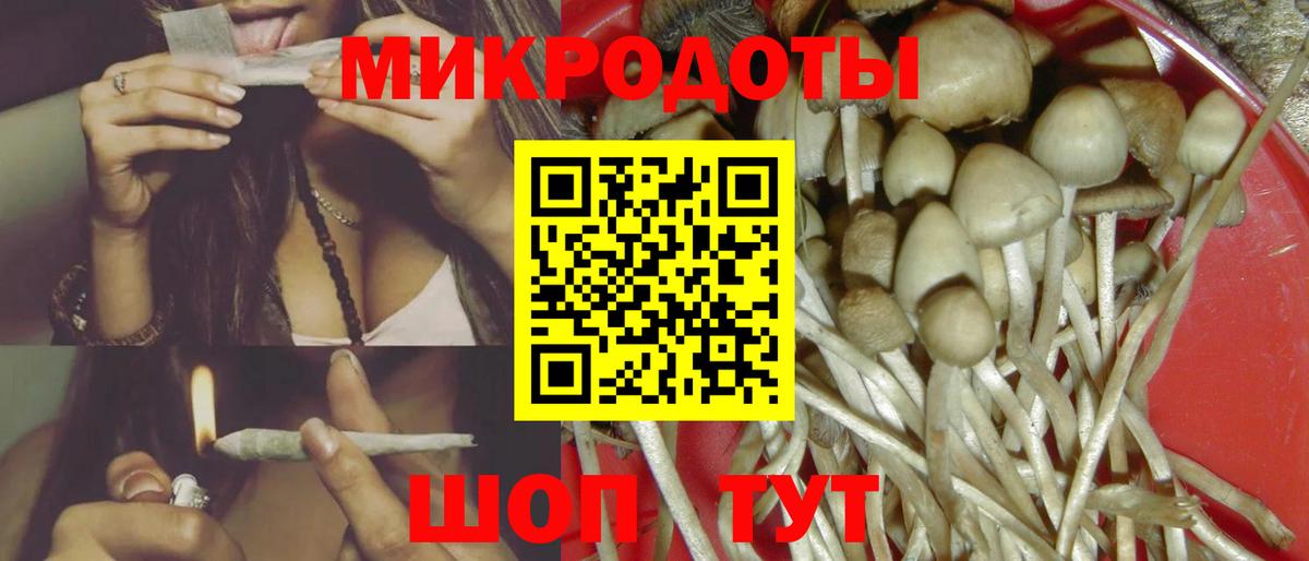 Касимов  Галлюциногенные грибы Psilocybe  Псилоцибиновые грибы мицелий  Вход с VPN 